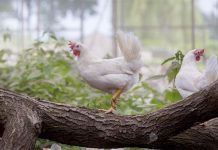 Selezione per un’industria sostenibile