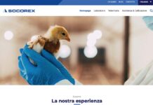 Socorex si presenta online con più lingue