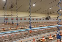 Tubi flessibili e igiene dell’acqua inibiscono la crescita del biofilm