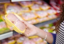 Consumi domestici 2024: crescono le carni avicole e le uova. I dati ISMEA confermano la solidità del comparto