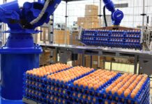 L’industria delle uova nei Paesi emergenti tra il 2007 e il 2017