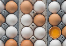 Il settore degli ovoprodotti in Italia