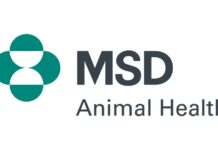 Nasce la Micro Academy di MSD Animal Health