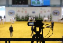 CremonaFiere si svolgerà dal 3 al 5 dicembre online