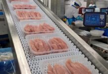 Riduzione di Salmonella e Campylobacter sulla carne avicola cruda con soluzioni battericide decontaminanti