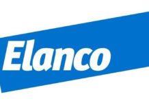 Approccio olistico alla prevenzione della salmonellosi in avicoltura