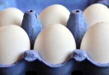 Lo sviluppo delle importazioni di uova nei Paesi emergenti: dinamiche e modelli