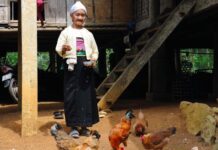 La produzione di uova nei Paesi emergenti tra il 2007 e il 2017