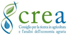 Bando per un assegno di ricerca del CREA per produzioni zootecniche sostenibili