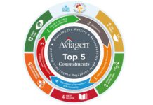 Selezione in linea con la sostenibilità