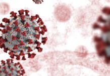 Come proteggere il proprio incubatoio dai rischi per la biosicurezza