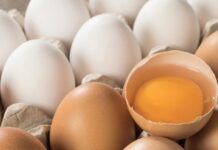 Qualità interna delle uova: tendenze e opportunità per rispondere alle mutevoli richieste di mercato