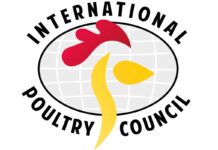 Nomine IPC alla guida dei gruppi di lavoro