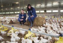 Uno sguardo verso la digitalizzazione dell’allevamento