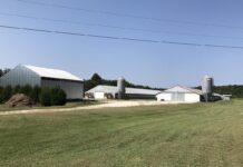 Problemi nel controllo ufficiale sul benessere degli avicoli