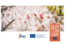 Riduzione dell’uso di antibiotici nel settore della carne: se ne parla online il prossimo 21 aprile