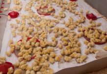 Tenere sotto controllo la coccidiosi nei riproduttori da carne con l’uso di vaccini