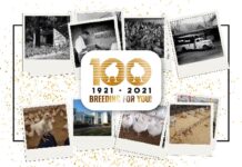Hubbard celebra i 100 anni di impegno nella selezione avicola