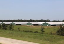 Strategie per il controllo dei roditori