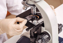 Medici Veterinari, Penocchio presidente per il 2021-2024