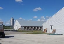 OIE: uso sempre più razionale degli antibiotici nel settore animale