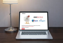 Genetica e nutrizione del broiler: il webinar organizzato da DSM, Aviagen e Zootecnica International