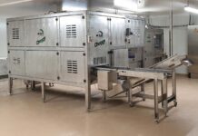 Gli incubatoi europei si affidano a Cheggy per il sessaggio in ovo