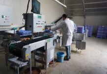 Vencomatic, l’automazione semplice a portata di tutti