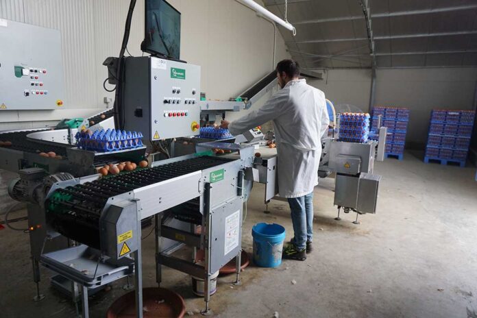automazione, Vencomatic, Prinzen IT