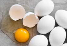 Venerdì 8 ottobre 2021, Giornata mondiale dell’uovo