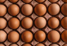 EUWEP, Assemblea generale a Bergamo: tre giorni dedicati alla filiera delle uova e degli ovoprodotti