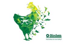 L’efficacia del Bacillus coagulans contro i batteri zoonotici