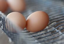 Intra Calferol: un raggio di sole fornito con l’acqua di bevanda!