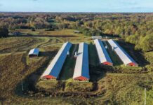 Biosicurezza: pulizia e disinfezione