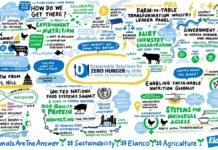 Leader aziendali ed esperti globali a confronto per spostare la produzione zootecnica verso la neutralità climatica