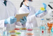 L’IZSVe identifica un nuovo ceppo di Salmonella