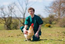 Biodiversità e scelte di mercato