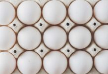 Campylobacter e Salmonella nell’Unione europea