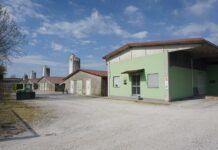 Prinzen, una raccolta uova ancora più efficiente grazie al Leaker Detector