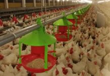 Tecno Impianti, distributore ufficiale in Marocco di Aza International