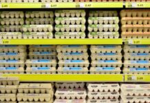 Uova, rincari delle materie prime ma prezzo invariato