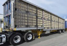 Resistenza antimicrobica, i rischi durante il trasporto animale