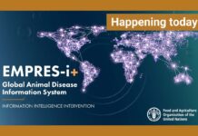 EMPRES-i+, nuovo sistema informativo FAO sulle malattie animali