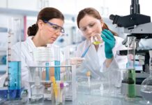 La Bronchite Infettiva nel pollo