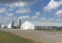 Pavimentazione rivestita al quarzo: una soluzione efficace per migliorare l’igiene del capannone avicolo