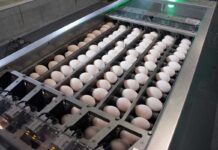 Una storia di successo al femminile realizzata grazie all’automazione Prinzen