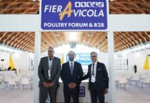 L’avicoltura soffre l’impennata dei costi di produzione