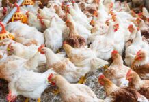 Trasparenza, comunicazione e impegno sociale