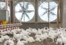 Ventilazione: cos’è la pressione negativa e perché è importante?