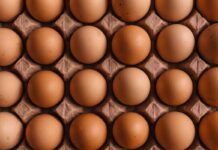 Brasile: pollo in lieve calo, volano le uova